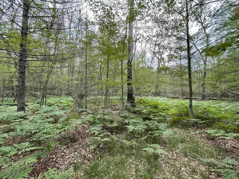 1686 Norway Lk, Prescott, MI 48756