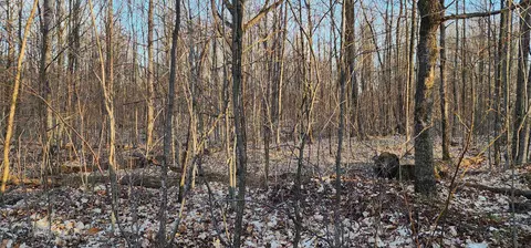 Vl 10 Acres Johnson, Lake City, MI 49651