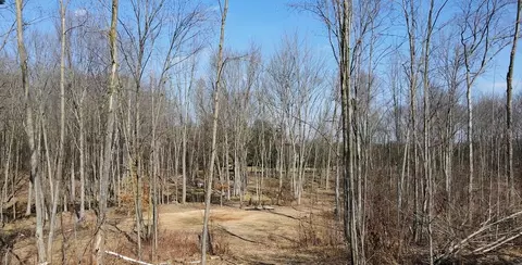 N Crystal, Vestaburg, MI 48891