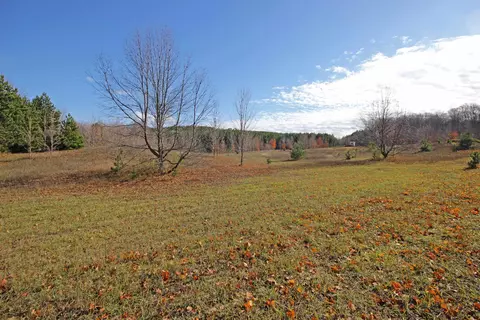 6701 E Lincoln, Cedar, MI 49621 photo 16
