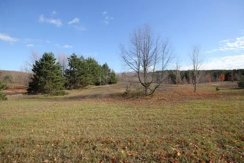 6701 E Lincoln, Cedar, MI 49621 photo 30