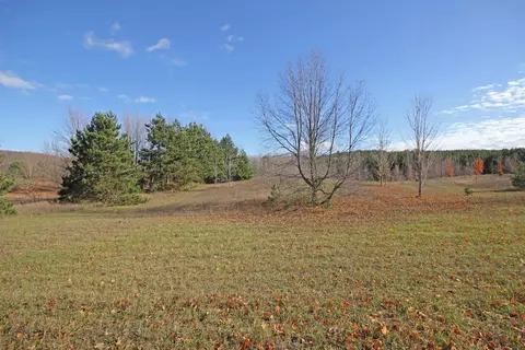 6701 E Lincoln, Cedar, MI 49621 photo 15