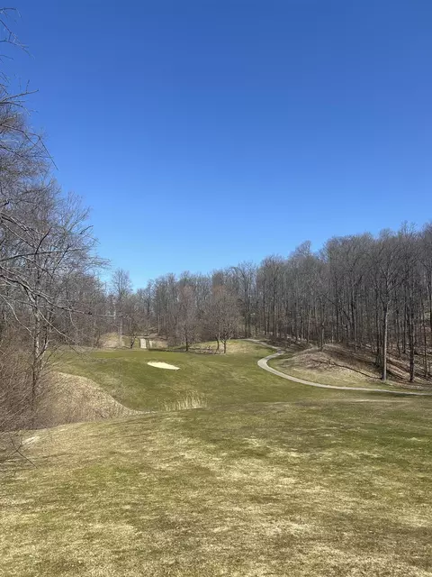 lot103 Walkers, Bellaire, MI 49615