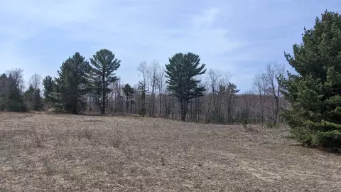 Tbd Us-31, Bear Lake, MI 49614