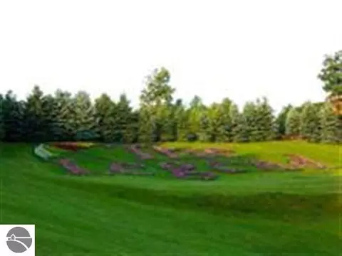 85 Legend, Bellaire, MI 49615
