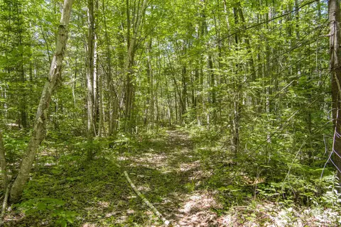 Other - 5625 M-65, Hale, MI 48739 photo 4 of 7