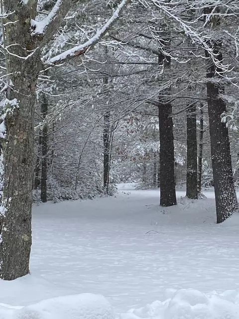 Other - 5625 M-65, Hale, MI 48739 photo 7 of 7