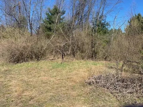 V/l Moore, Williamsburg, MI 49690 photo 9