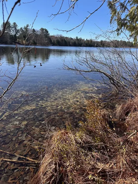 00 Ginafred Shrs, Fife Lake, MI 49633