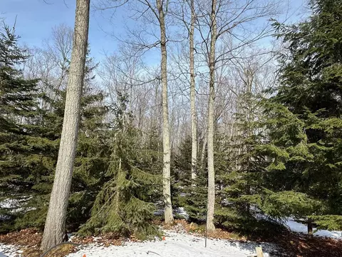 501 E Shetland, Cedar, MI 49621 photo 32