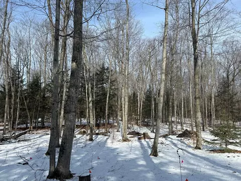 501 E Shetland, Cedar, MI 49621 photo 33