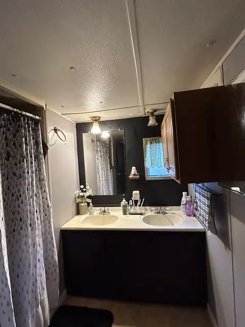 50 Meadow, Ithaca, MI 48847 photo 9