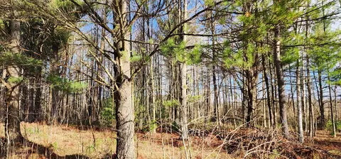 0 Conners, Twining, MI 48766