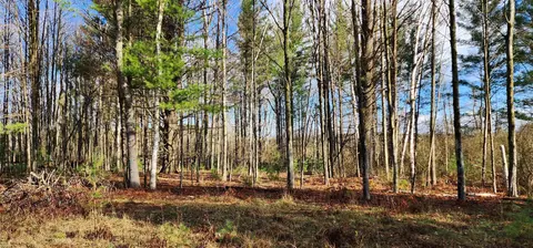 0 Conners, Twining, MI 48766 photo 5