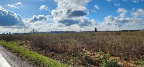 0 W Main, Twining, MI 48766 photo 6