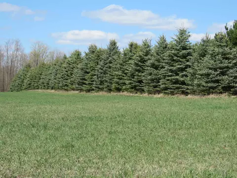 00 22 Mile, Tustin, MI 49688