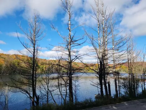 Waterfront Parmater, Elmira, MI 49730
