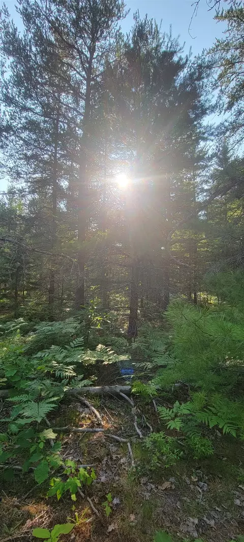 v/l 0 n wide waters, Paradise, MI 49768