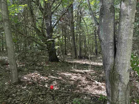 lot 32 rose, Kewadin, MI 49648