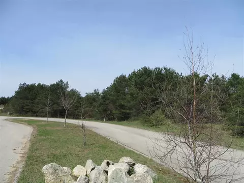 9 Spruce Holw, Fife Lake, MI 49633
