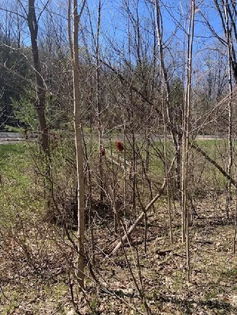 M-88, Bellaire, MI 49615