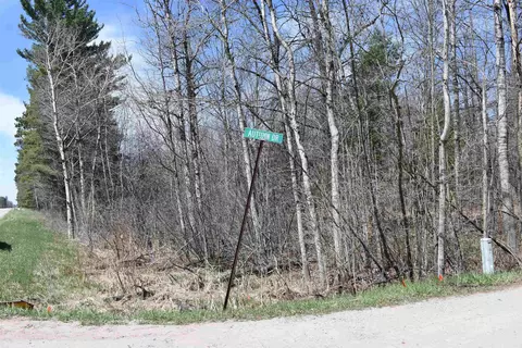 0 Autumn, Saint Helen, MI 48656