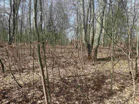 V/l Oestman, Kalkaska, MI 49646