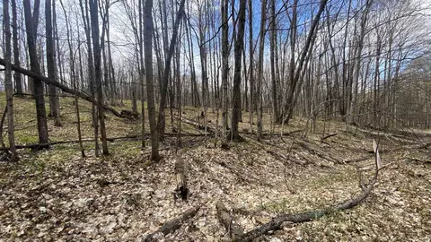 lot S 292-293 Jaeger Strasse #LOT : 292/93, Bellaire, MI 49615