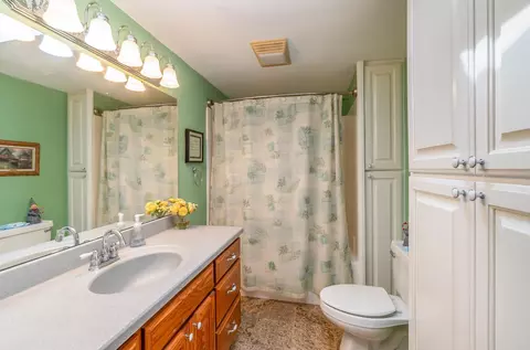 678 S Alger, Ithaca, MI 48847 photo 24