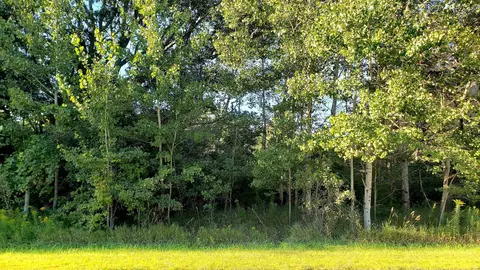 7676 Lincoln, Elwell, MI 48832