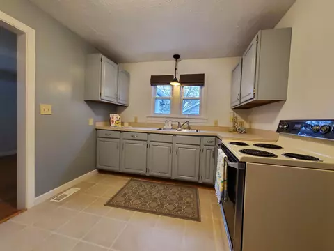 305 Third, Shepherd, MI 48883 photo 16