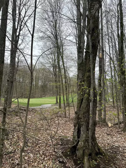 Lot 46 Creekside, Bellaire, MI 49615