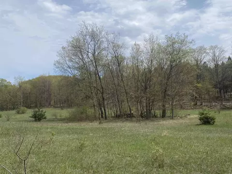 Parcel I Eastman, Beulah, MI 49617