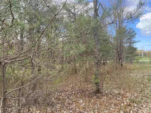 Parcel J Eastman, Beulah, MI 49617