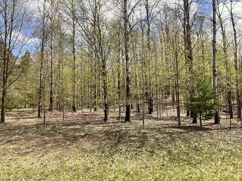 5533 E Lincoln, Cedar, MI 49621 photo 15
