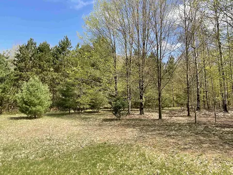 5533 E Lincoln, Cedar, MI 49621 photo 2
