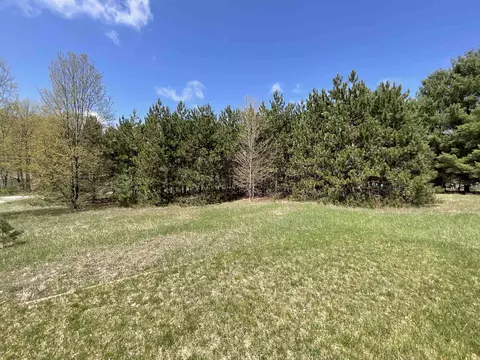 5533 E Lincoln, Cedar, MI 49621 photo 4