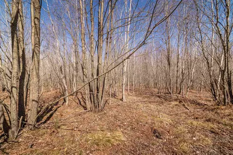 Hulkonen, Kaleva, MI 49645 photo 13