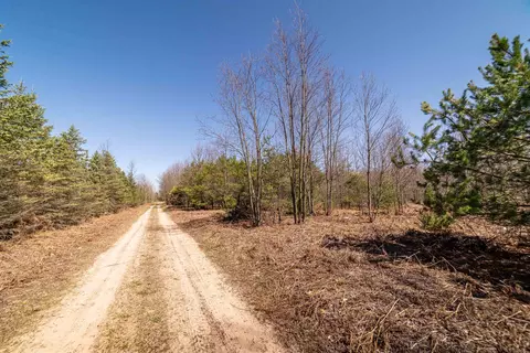 Hulkonen, Kaleva, MI 49645 photo 17