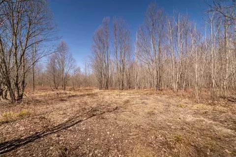 Hulkonen, Kaleva, MI 49645 photo 11