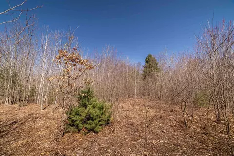 Hulkonen, Kaleva, MI 49645 photo 9