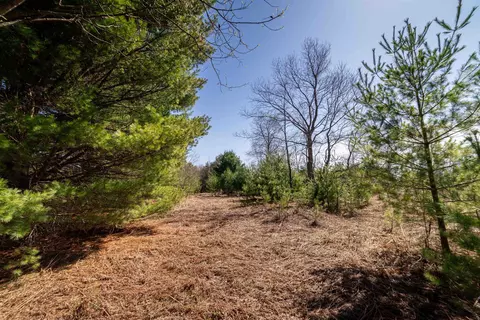 Hulkonen, Kaleva, MI 49645 photo 5