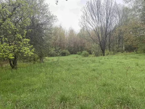 F Marshall, Beulah, MI 49617 photo 5