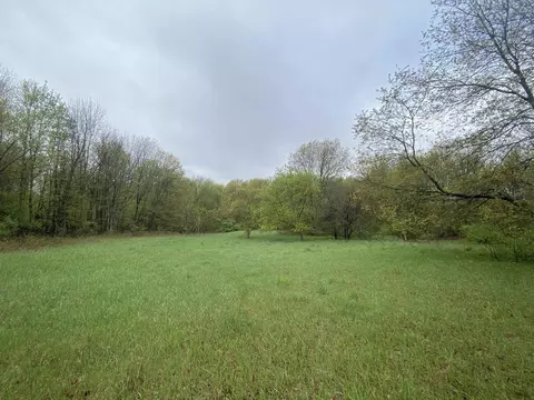 F Marshall, Beulah, MI 49617 photo 7