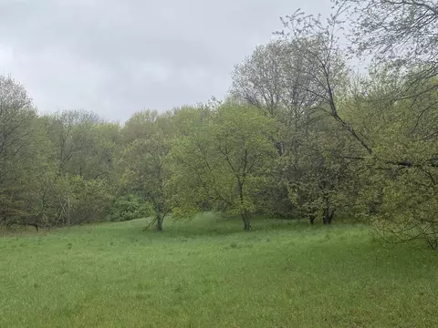 F Marshall, Beulah, MI 49617