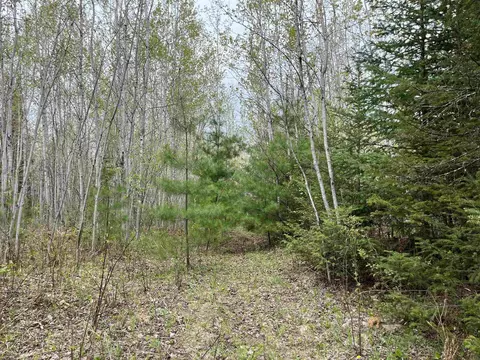 000 Lund, Fife Lake, MI 49633