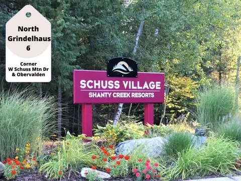 6 W Schuss Mtn, Bellaire, MI 49615