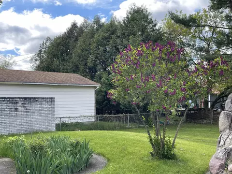 Exterior - 335 W Second, Gladwin, MI 48624 photo 4 of 12