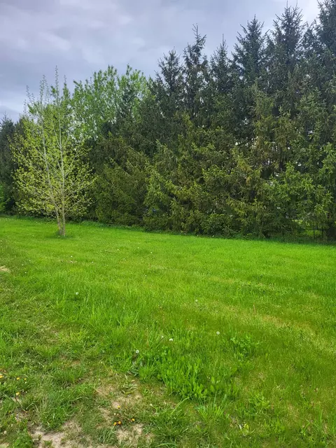 Tbd E Valley, Mount Pleasant, MI 48858 photo 4