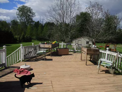 505 E Tyler, Alma, MI 48801 photo 19